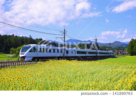 日光市:一列 Spacia X 列車正駛往鬼怒川溫泉,遠處是一片盛開的向日葵田。 日光市:一列 Spacia X 列車正駛往鬼怒川溫泉,遠處是一片盛開的向日葵田。 141890763