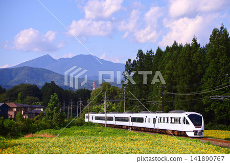 日光市:一列 Spacia X 列車正駛往鬼怒川溫泉,遠處是一片盛開的向日葵田。 日光市:一列 Spacia X 列車正駛往鬼怒川溫泉,遠處是一片盛開的向日葵田。 141890767