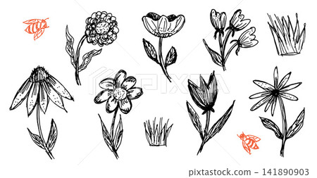 Daisy and poppy flower doodle with hand drawn bee quirky sketch. Simple wildflower line and tulip outline with scribble for greeting card. Isolated vector floral set drawn on white background Daisy and poppy flower doodle with hand drawn bee quirky sketch. Simple wildflower line and tulip outline with scribble for greeting card. Isolated vector floral set drawn on white background 141890903