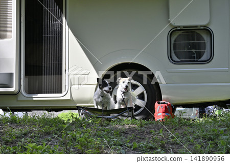 和我的狗狗們一起露營:兩隻傑克羅素梗犬在露營車裡 和我的狗狗們一起露營:兩隻傑克羅素梗犬在露營車裡 141890956