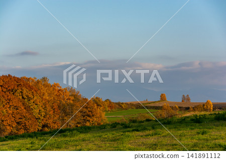 A mixed forest with beautiful autumn foliage and a green meadow. A mixed forest with beautiful autumn foliage and a green meadow. 141891112