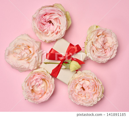 Gift box tied with a red ribbon and blooming pink roses on a pink background. Gift box tied with a red ribbon and blooming pink roses on a pink background. 141891185