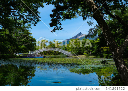 大沼國立公園 141891322