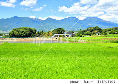 從禦牧原眺望淺間山（長野縣富富市）[2026年8月] 141891405