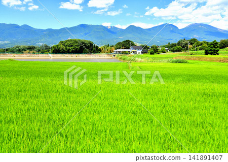 從禦牧原眺望淺間山（長野縣富富市）[2026年8月] 141891407