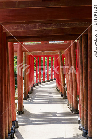 Yutoku Inari Shrine - Torii Gate Yutoku Inari Shrine - Torii Gate 141891524
