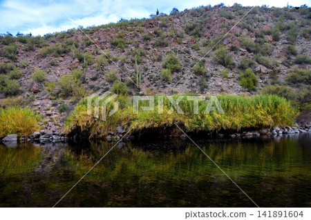 Salt River Recreation Area Arizona Salt River Recreation Area Arizona 141891604