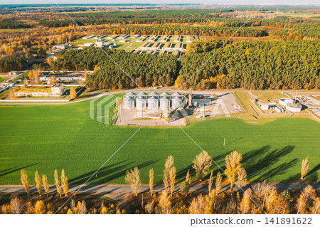 Aerial view modern granary, grain-drying complex, commercial grain or seed silos in sunny autumn rural landscape. Corn dryer silos, inland grain terminal, grain elevators standing in a field Aerial view modern granary, grain-drying complex, commercial grain or seed silos in sunny autumn rural landscape. Corn dryer silos, inland grain terminal, grain elevators standing in a field 141891622