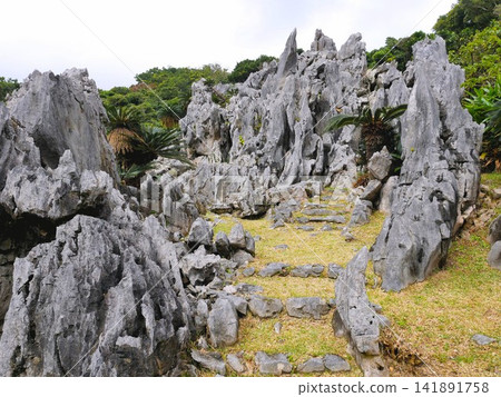 The natural landscape of Oishirinzan: a landscape of jagged rocks (Yanbaru, Okinawa Prefecture) The natural landscape of Oishirinzan: a landscape of jagged rocks (Yanbaru, Okinawa Prefecture) 141891758