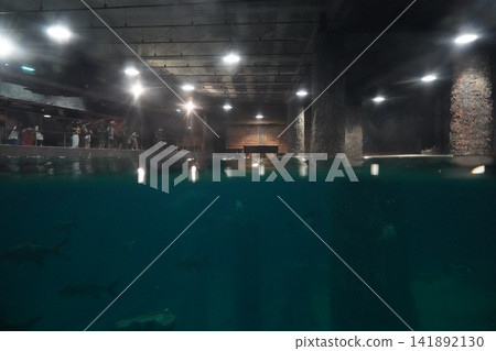Large sharks swim in a massive indoor aquarium tank Large sharks swim in a massive indoor aquarium tank 141892130
