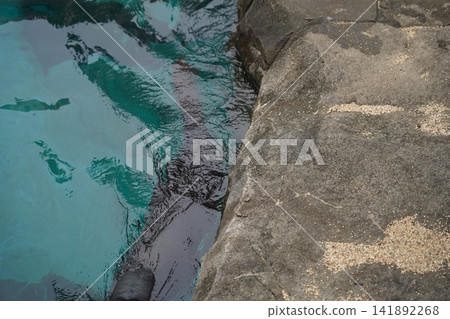 Turquoise Water Ripples Beside Textured Concrete Surface Turquoise Water Ripples Beside Textured Concrete Surface 141892268