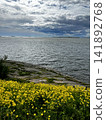 Landscape of Suomenlinna (Sveaborg). Susisaari Island. 141892768