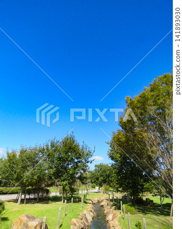 一張自然公園的圖片,裡面有一條小溪。 一張自然公園的圖片,裡面有一條小溪。 141893030