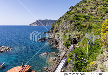 Passenger train at Vernazza in Liguria on the coast of Italy with terraced vineyards Passenger train at Vernazza in Liguria on the coast of Italy with terraced vineyards 141893858