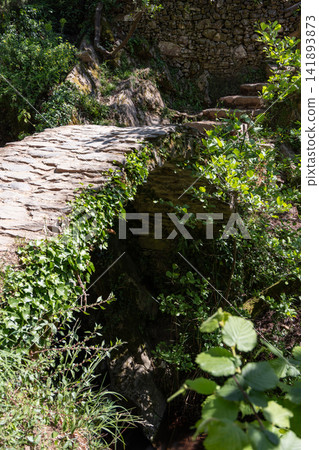 Stone footbridge within Cinque Terre, Italy from close eye-level trail perspective Stone footbridge within Cinque Terre, Italy from close eye-level trail perspective 141893873