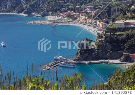 Liguria vineyard near Monterosso al Mare, Italy, in high compressed perspective on the vines 141893878