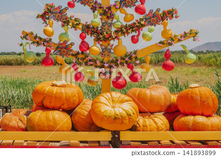 Colorful decorative tree adorned with painted gourds and flowers set above large orange pumpkins at countryside farm market during autumn harvest festival Colorful decorative tree adorned with painted gourds and flowers set above large orange pumpkins at countryside farm market during autumn harvest festival 141893899