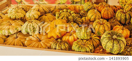 Full frame display of mini colorful decorative pumpkins and striped pattypan squashes in wooden crate for seasonal autumn harvest and Halloween background Full frame display of mini colorful decorative pumpkins and striped pattypan squashes in wooden crate for seasonal autumn harvest and Halloween background 141893905