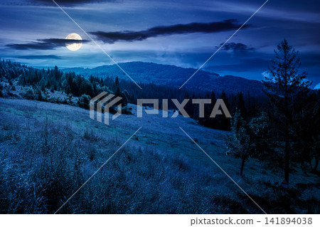 countryside mountain landscape in summer at night. full moon over Borzhava mountain ridge behind the green pasture. view of field near coniferous forest countryside mountain landscape in summer at night. full moon over Borzhava mountain ridge behind the green pasture. view of field near coniferous forest 141894038