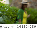 Girl in slight blur in a yellow swimsuit and cape in a hat on a background of greenery 141894239