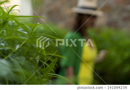 Girl in slight blur in a yellow swimsuit and cape in a hat on a background of greenery Girl in slight blur in a yellow swimsuit and cape in a hat on a background of greenery 141894239