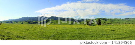 Green Meadow Panorama with Rolling Hills and Blue Sky Green Meadow Panorama with Rolling Hills and Blue Sky 141894566