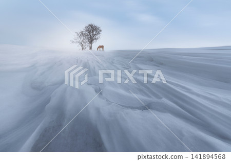 Horse in Snowy Winter Landscape with Bare Trees Horse in Snowy Winter Landscape with Bare Trees 141894568