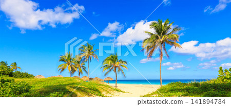 Tropical Beach with Palm Trees, Blue Sky, and Turquoise Ocean Tropical Beach with Palm Trees, Blue Sky, and Turquoise Ocean 141894784