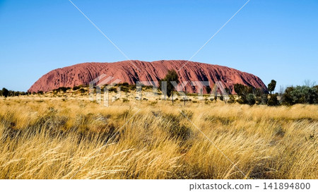 Uluru Red Rock Desert Landscape in Australian Outback Uluru Red Rock Desert Landscape in Australian Outback 141894800