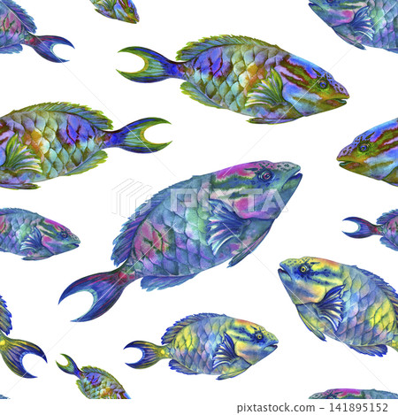 Seamless watercolor pattern with colorful tropical parrotfish on bright backgrounds. Hand painted marine design for fabric, wallpaper, wrapping paper, packaging and summer decor. Seamless watercolor pattern with colorful tropical parrotfish on bright backgrounds. Hand painted marine design for fabric, wallpaper, wrapping paper, packaging and summer decor. 141895152