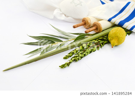 Sukkot four species with torah scroll and tallit Sukkot four species with torah scroll and tallit 141895284