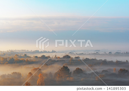 Misty autumnal forest landscape seen from above with soft golden hour light filtering through the fog and trees Misty autumnal forest landscape seen from above with soft golden hour light filtering through the fog and trees 141895303