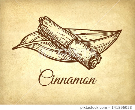 Cinnamon stick and leaf. Ink sketch of spice. 141896038