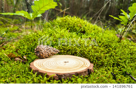 Wood slice podium on forest moss with pine cone, empty surface for product display. Natural cosmetics mockup, eco packaging, organic skincare, spa branding concept. Wood slice podium on forest moss with pine cone, empty surface for product display. Natural cosmetics mockup, eco packaging, organic skincare, spa branding concept. 141896761