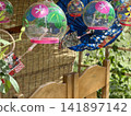 Landscape and bamboo blinds ⑤ 141897142