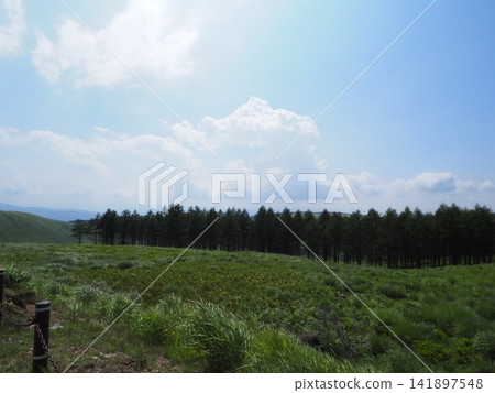 夏季從長野縣高地看到的壯麗景色。 夏季從長野縣高地看到的壯麗景色。 141897548