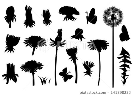 Dandelion Flower Silhouette Vector Set with Butterfly and Botanical Elements. Template Illustration Isolated on White Background Dandelion Flower Silhouette Vector Set with Butterfly and Botanical Elements. Template Illustration Isolated on White Background 141898223