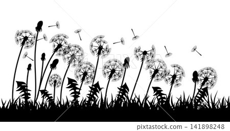 Black Dandelion Meadow Silhouette Vector Isolated on White Background Black Dandelion Meadow Silhouette Vector Isolated on White Background 141898248