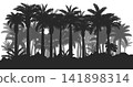 View of tropical palm tree silhouette background. Vector illustration 141898314