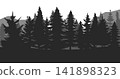 Pine trees silhouette in a forest. Spruce nature landscape. Evergreen coniferous vector. Seamless composition isolated on white background 141898323
