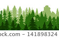 Pine trees silhouette in a forest. Spruce nature landscape. Evergreen coniferous vector. Seamless composition isolated on white background 141898324