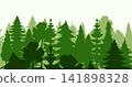 Pine trees silhouette in a forest. Spruce nature landscape. Evergreen coniferous vector. Seamless composition isolated on white background 141898328