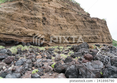 八丈島、石泉鼻、日光石 141898790