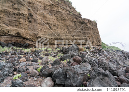 八丈島、石泉鼻、日光石 141898791