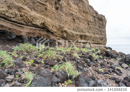 八丈島、石泉鼻、日光石 八丈島、石泉鼻、日光石 141898830