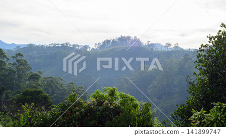 Misty tropical mountain landscape with lush forest and rolling hills Misty tropical mountain landscape with lush forest and rolling hills 141899747