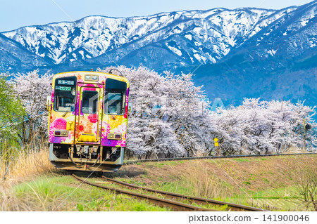Yamagata Railway Flower Nagai Line: A train running through a row of cherry trees with snow-capped mountains in the background (Arato - Shikinosato) Yamagata Railway Flower Nagai Line: A train running through a row of cherry trees with snow-capped mountains in the background (Arato - Shikinosato) 141900046