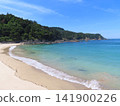 荒濱海灘的碧綠海水 141900226