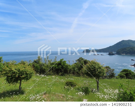 從宮城縣石卷市大塚燈塔眺望大海 從宮城縣石卷市大塚燈塔眺望大海 141900231