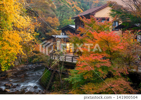 Autumn leaves of Kurokawa Onsen Autumn leaves of Kurokawa Onsen 141900504